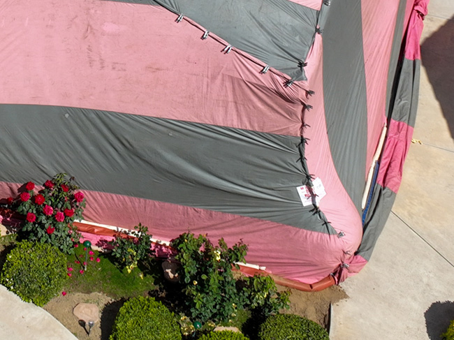 Fumigation Tent